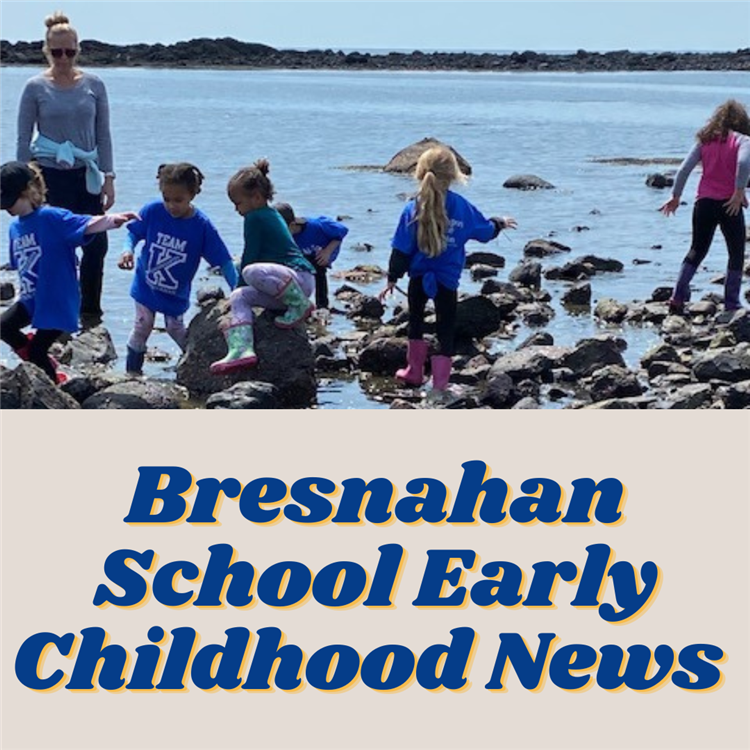 Bresnahan School Early Childhood logo